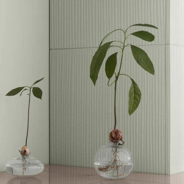Blomus, Decor
